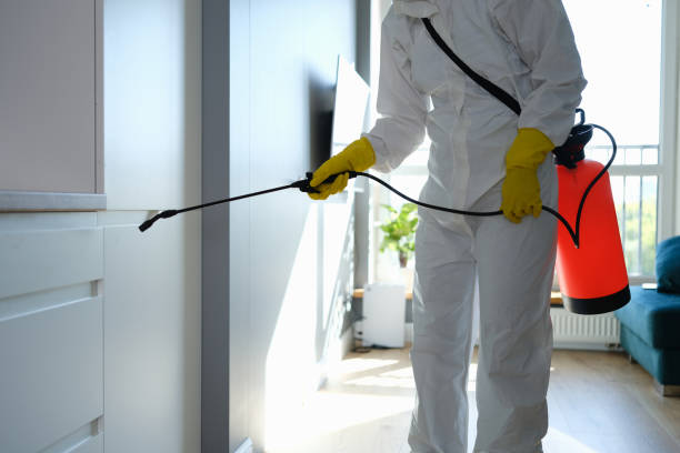 Best Commercial Mold Removal  in West Glens Falls, NY